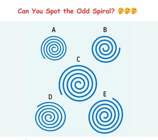 Can you figure out which spiral stands out among the rest? Study the details carefully!