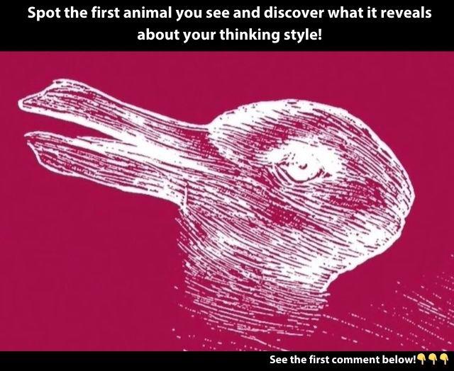 What do you see first – a duck or a rabbit? Your answer might reveal which hemisphere of your brain is more dominant
