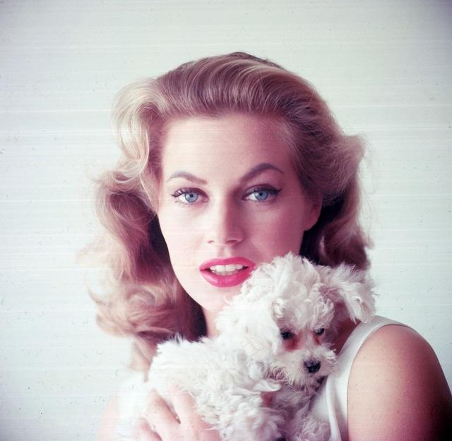 She Walked Into Cinema History and Never Left: The Enduring Story of Anita Ekberg